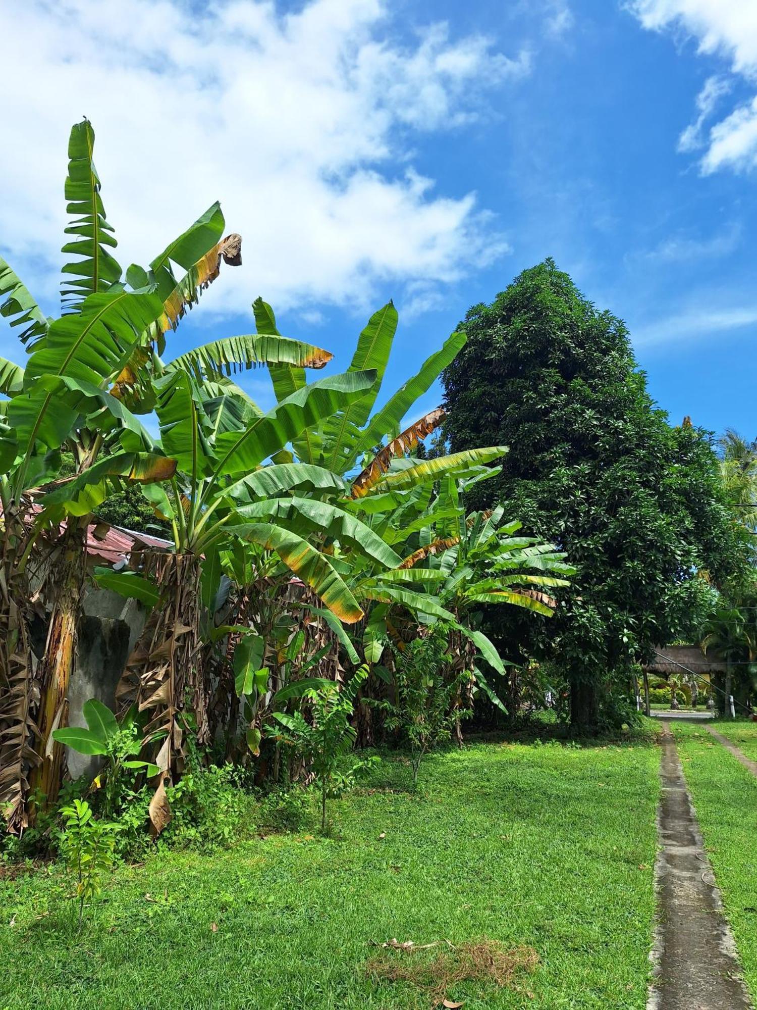 Lendang Eco Lodge 셍기기 외부 사진