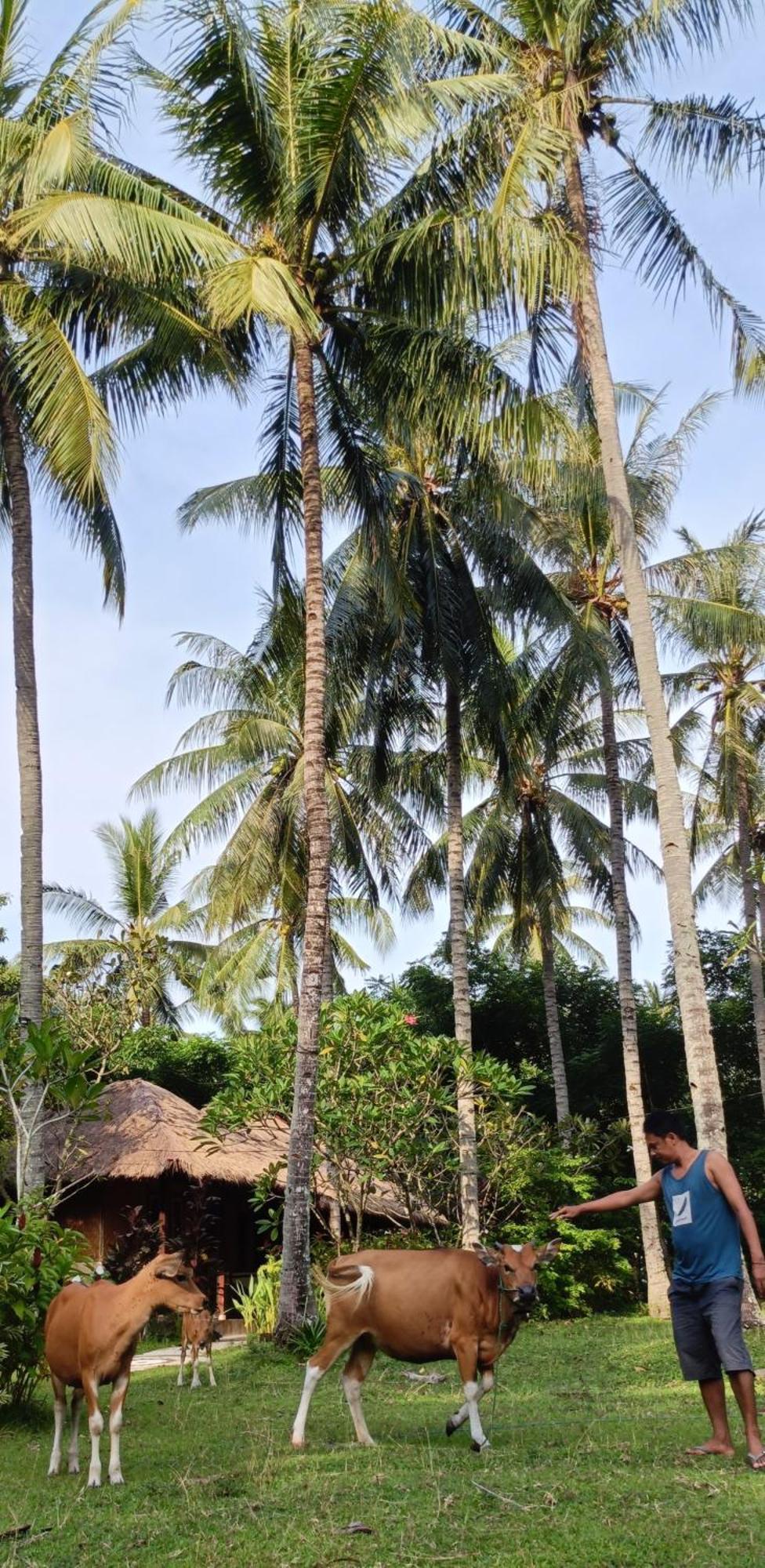 Lendang Eco Lodge 셍기기 외부 사진