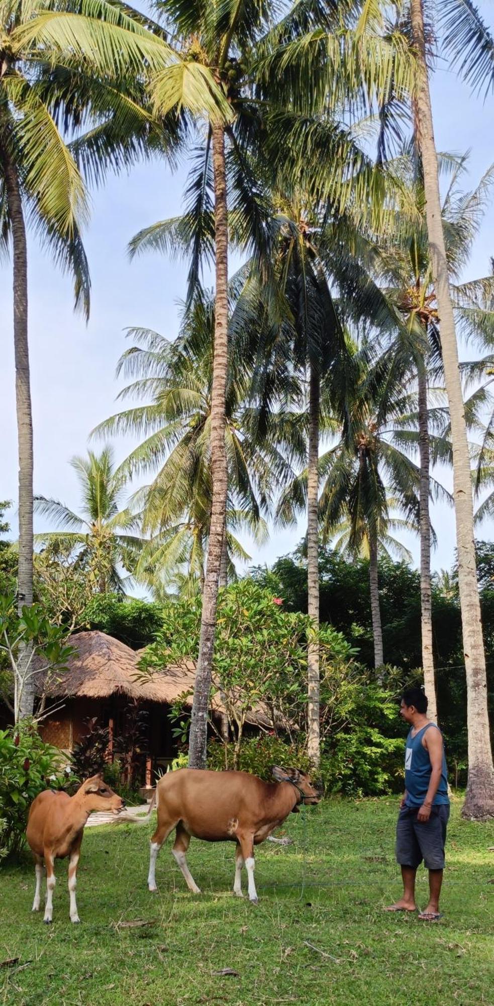 Lendang Eco Lodge 셍기기 외부 사진