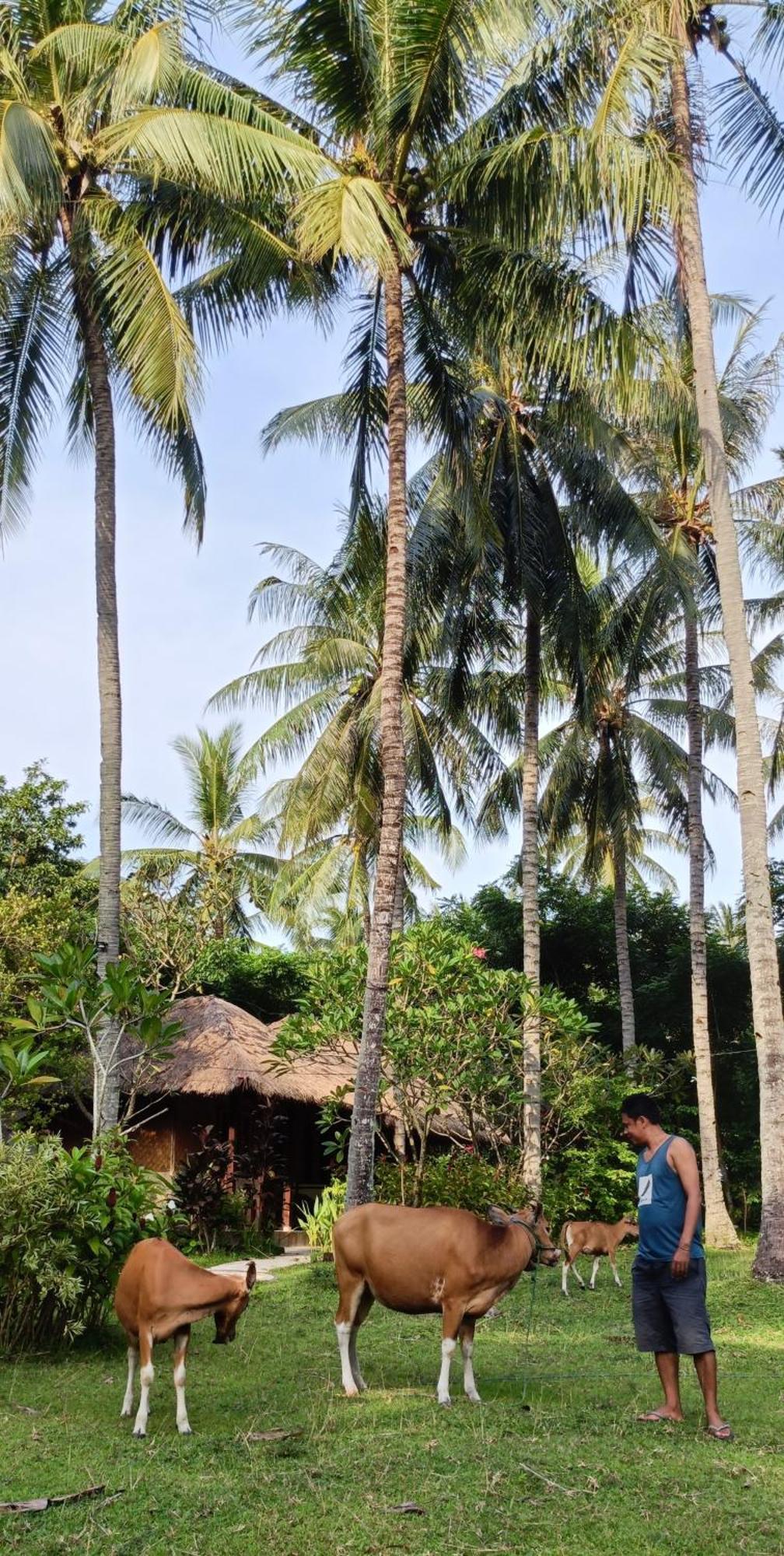 Lendang Eco Lodge 셍기기 외부 사진